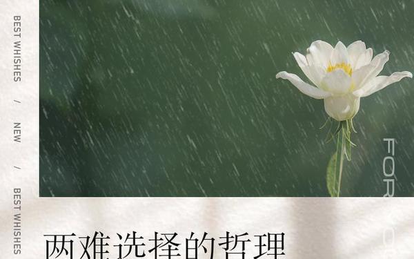 人生的选择(关于选择的哲理句子)
