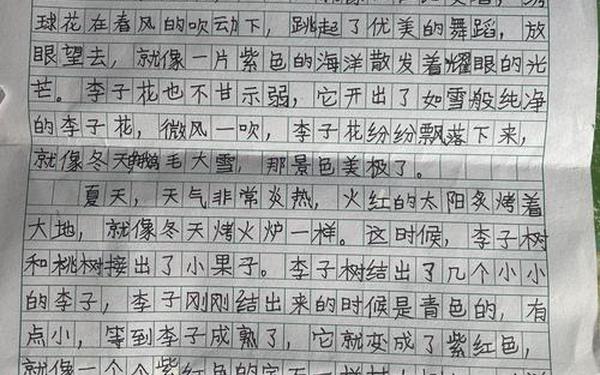我的学校的作文300字(我的校园小练笔300字)