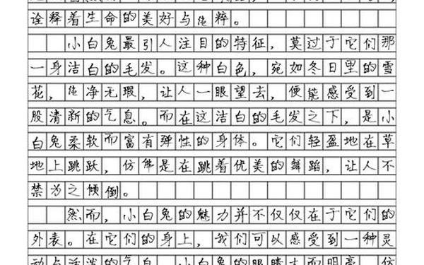 二年级作文写小白兔 兔子的作文二年级