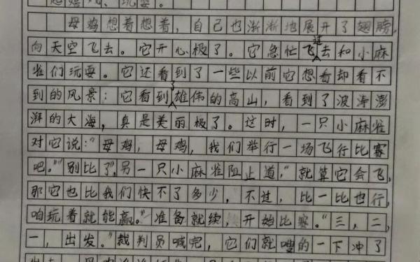 会飞的母鸡300字优秀作文 动物作文300字三年级