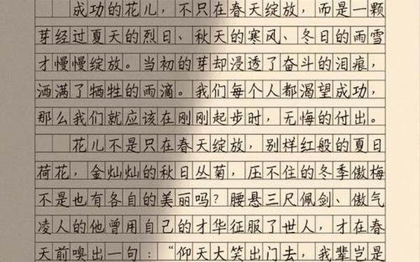 关于春的作文(春光正好作文800字)