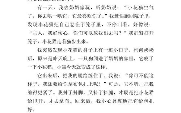 一篇写事的作文300字_写事作文三百字