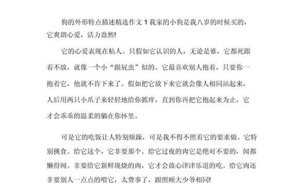 我的动物朋友小狗作文-小狗的外形特点