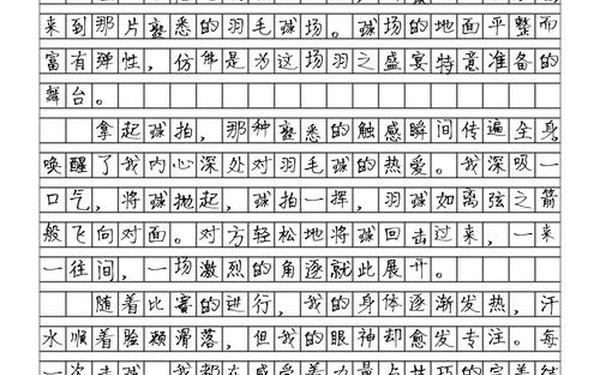 寒假作文600字初中 羽毛球作文600字