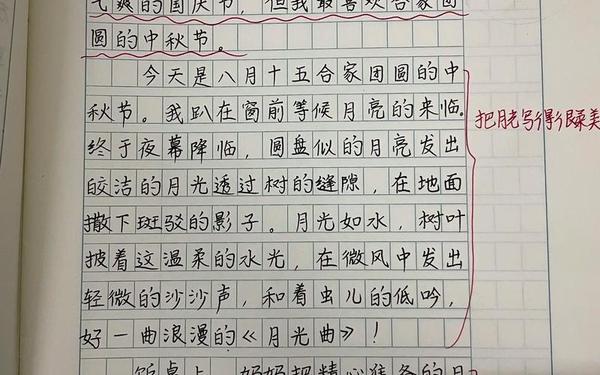 三年级作文中华传统节日 三年级作文中秋节300字优秀作文