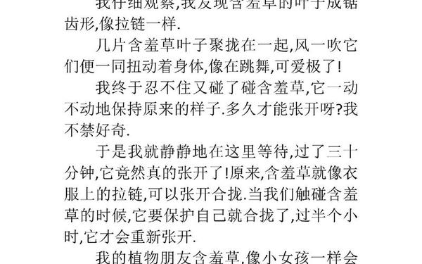 含羞草作文;叶圣陶的《含羞草》 含羞草作文;叶圣陶的《含羞草》