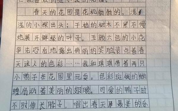 我的乐园400字作文四年级,我的乐园350字可抄免费