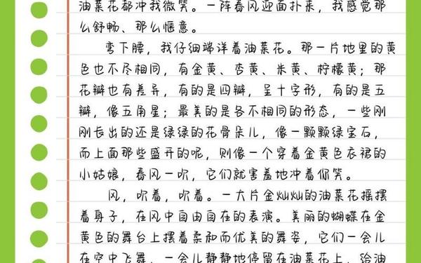 关于植物的现代诗—《油菜花》的现代诗