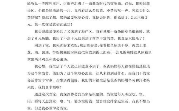 今天我当家的作文_今天我当家征文600字