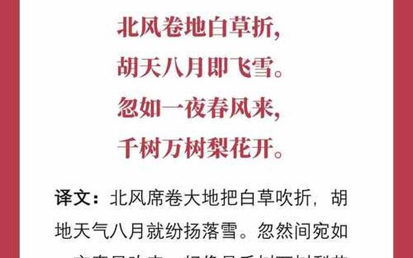 关于雪的诗、雪的古诗30首