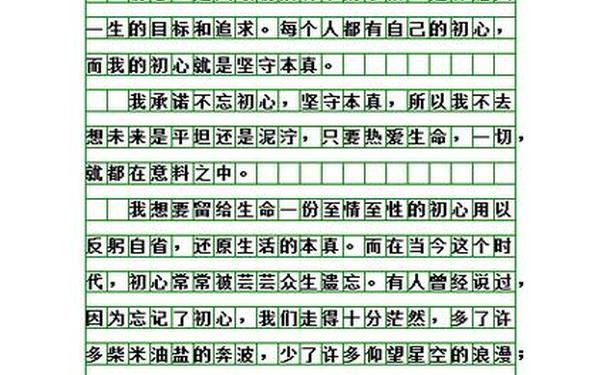为了一个承诺作文 我的承诺作文800字