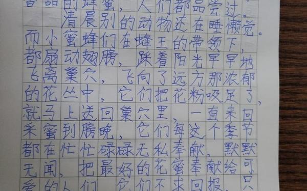 五年级上册小练笔蜜蜂,一个关于蜜蜂的小练笔