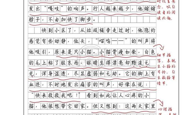 六年级上册优秀作文_六年级细节描写摘抄