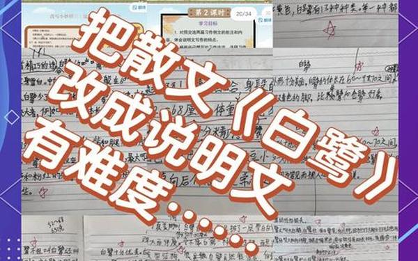 五年级白鹭改写说明文200字(白鹭配套阅读五年级)