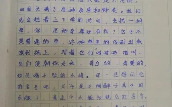 我的乐园作文350字 我的乐园作文350字范文10篇