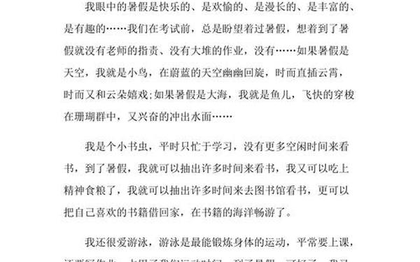 快乐的暑假—快乐暑假0.72汉化版