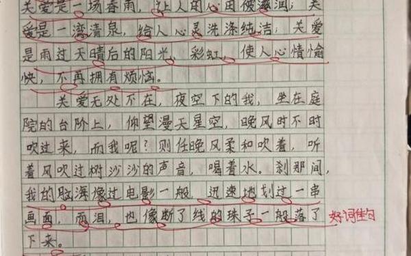 关爱的作文500字优秀作文、以关爱为话题的作文500字