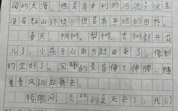 《我的家乡》作文300字(我的家乡龙泉驿作文300字三年级)