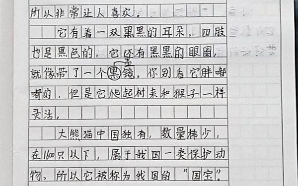 大熊猫优秀作文300字-大熊猫300字可抄