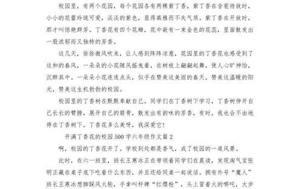 万能作文500字-优秀万能作文600字