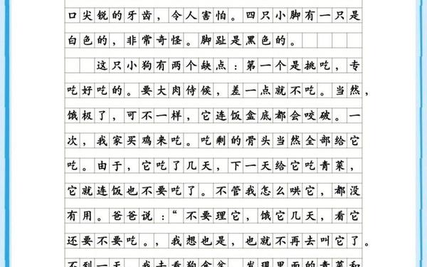 我的动物朋友一一小狗(小狗粘人的句子)