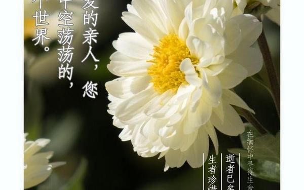 怀念亲人逝世的伤感句子,怀念已故亲人的图片