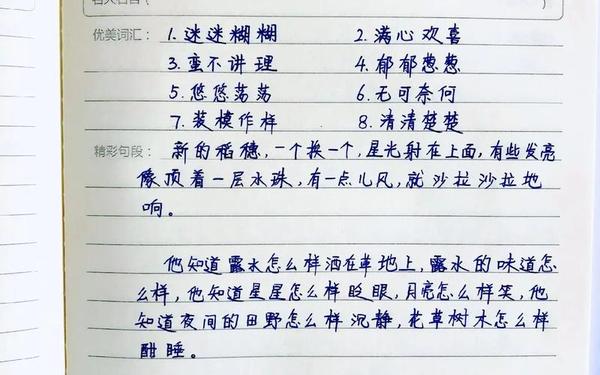 读书笔记20篇免费 读书笔记是什么要怎么写