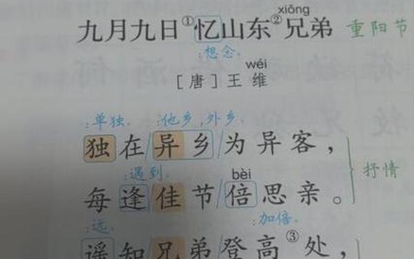九九重阳节的古诗 九月九日忆山东兄弟少一人是指