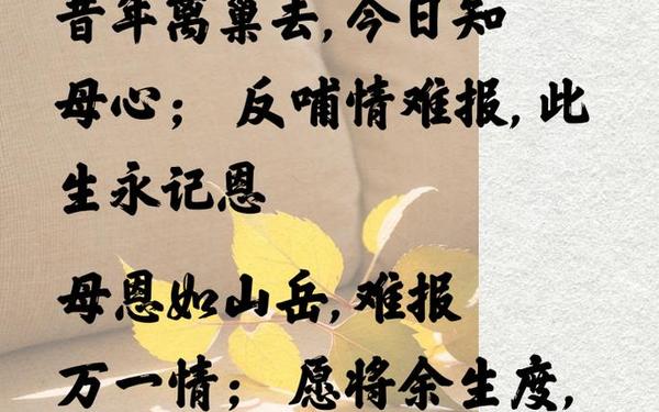 感恩父母的句子、孝敬父母的诗句
