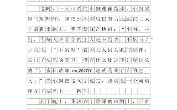 六年级作文变形记(六年级上变形记)