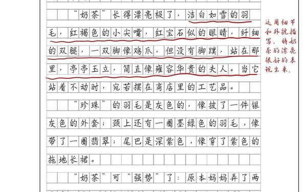 我的动物朋友(我的动物朋友400字四年级下册)