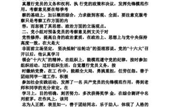 党小组长年终工作总结_党小组会党小组长总结发言