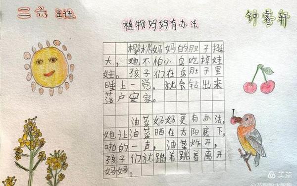 仿写植物妈妈有办法写一段话_仿写一种植物一段话