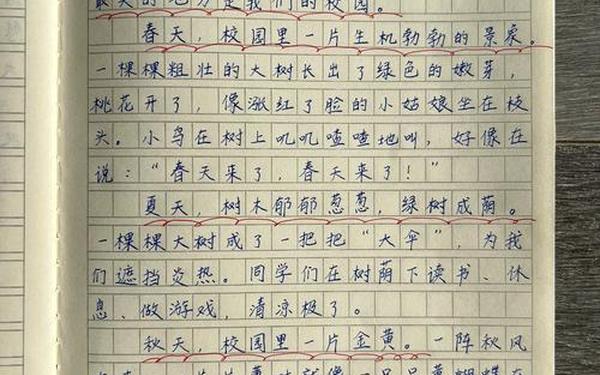 三年级作文这儿真美、《这儿真美》怎么写