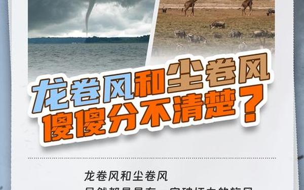 超强台风观后感 龙卷风2025