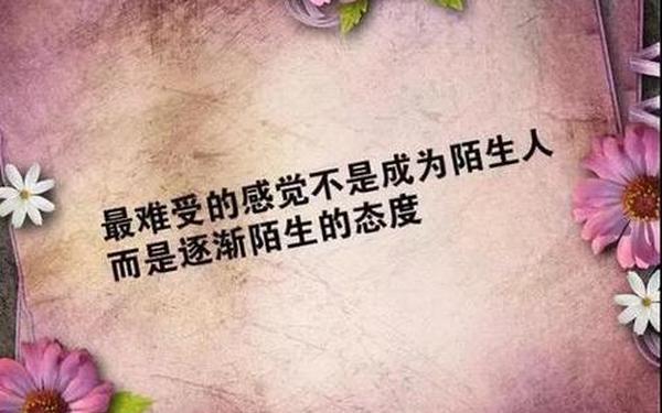 初一发朋友圈的精美句子(值得记录的一天的句子)