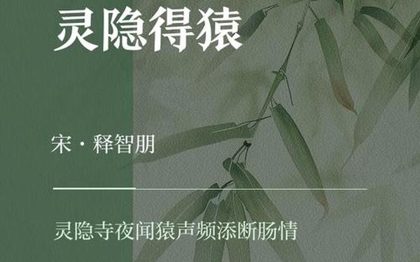 寂寞闻猿愁,陌陌闻猿愁
