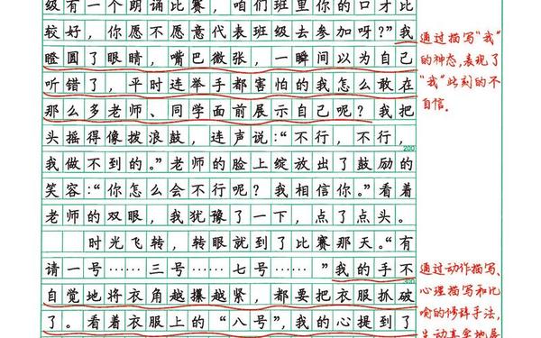 800字作文带批注和旁批(优秀作文加批注800字)