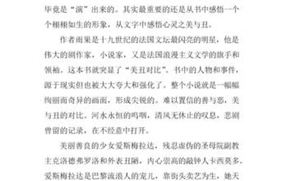 巴黎圣母院读后感800字;《巴黎圣母院》读后感600字高中