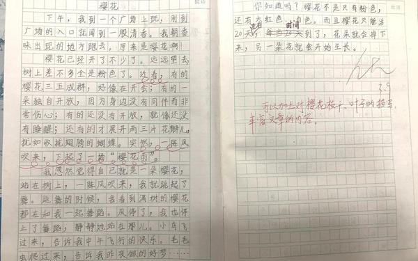 小实验作文300字优秀作文免费 描写樱花的作文300字三年级
