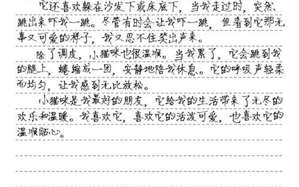 动物作文300字满分、描写小动物300字作文
