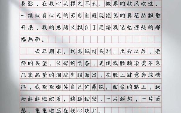定格在记忆中的画面作文、记忆中的画面作文600字 定格在记忆中的画面作文、记忆中的画面作文600字