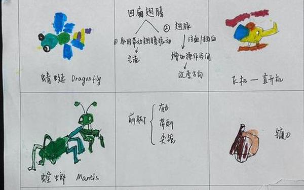人们从动物身上得到的启示;人们仿照动物发明了什么