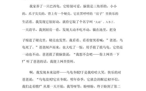 我的发现300字优秀作文;我的发现作文日记怎么写