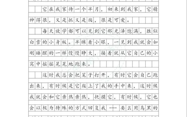 我心中的那一份真情 真情在心中流淌作文600字