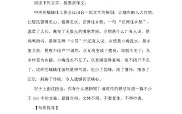 关于思念家乡的作文-写思乡的作文