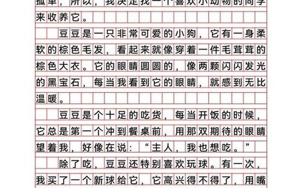 我的动物朋友作文400字(400字优秀作文动物)