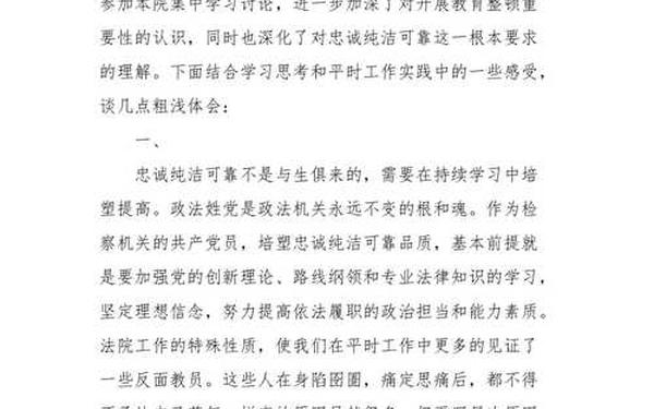 政法队伍教育整顿2021心得体会—政法队伍教育整顿个人心得体会