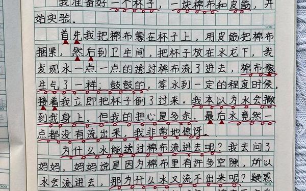 小实验作文300字优秀作文_我做了一个小实验200 400字作文