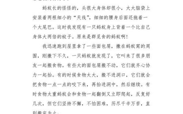 三年级蚂蚁作文300字 最常见的十种蚂蚁